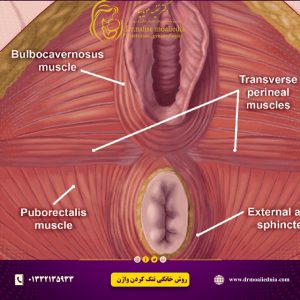 روش-خانگی-تنگ-کردن-واژن