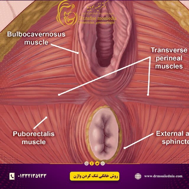 روش-خانگی-تنگ-کردن-واژن